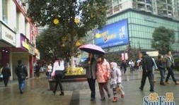 重庆商业街爆料视频最新,网红打卡地大揭秘，潮流美食一网打尽