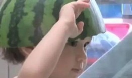 带你吃瓜之沙雕动画免费观看,免费畅享沙雕动画盛宴