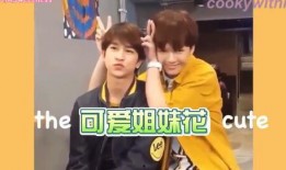 小宇爆料集锦视频大全,揭秘娱乐圈幕后故事