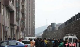 珠海凶杀案小区爆料新闻,小区惊现命案，警方全力侦破中