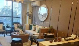 石家庄新房爆料最新消息,最新爆料揭示热门楼盘及价格走势