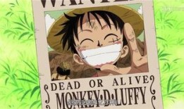 路飞悬赏爆料视频大全最新,揭秘最新悬赏金排行与冒险历程