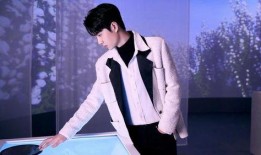 yc娱乐爆料王一博,yc娱乐独家爆料，揭秘明星背后的故事