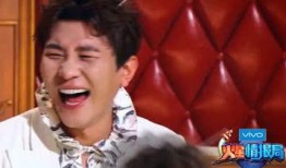 刘维爆料录音视频,娱乐圈背后的惊人真相