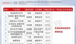 私募经理最新爆料,行业最新动态与投资策略深度剖析