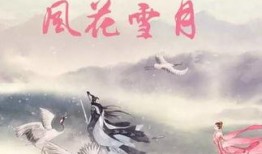 风花雪月 在线观看,浪漫邂逅，穿越时空的唯美传奇