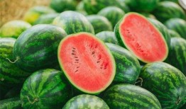 娱乐豆吃瓜,揭秘娱乐圈那些不为人知的幕后故事