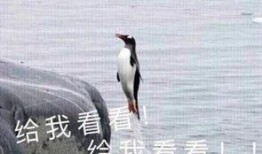 娱乐吃瓜君迅猛龙唱歌,迅猛龙跨界唱歌，音乐界新势力崛起