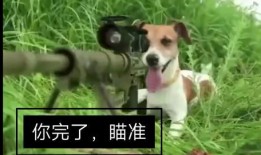 带你吃瓜之沙雕动画免费观看,免费畅享沙雕动画盛宴