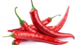 辣椒叔叔爆料视频全集,揭秘幕后真相与惊人内幕