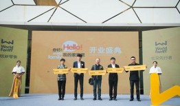 太原黎氏阁最新爆料,揭秘黎氏阁神秘面纱背后的惊人真相