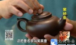 紫砂爆料新闻视频大全播放,新闻视频大全精彩瞬间回顾