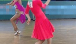 马跳舞视频在线观看,在线欣赏马跳舞的精彩瞬间